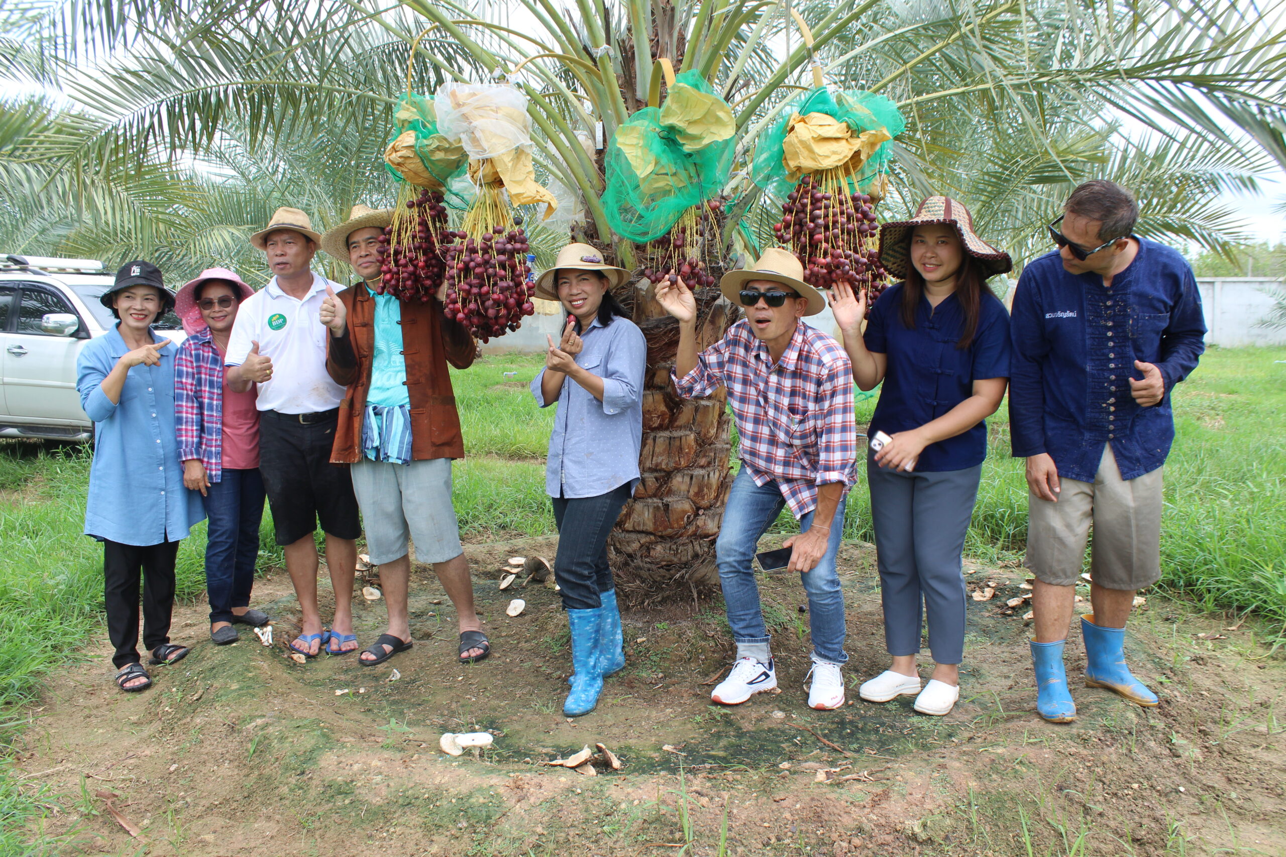 อนุรักษ์สืบสานฟื้นวิถี ทำนาแบบไทย เด็กได้สัมผัส ความสุข สนุกสนาน ช่วงวันหยุดยาว ร่วมลงแขกดำนา พร้อมเช็คอิน เที่ยวสวนอินทผาลัม